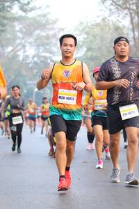 BIB: 16973, 10721
                            <button type="button" onclick="openModal(10412039)" class="btn btn-primary btn-sm float-right btn-popup" data-toggle="modal" data-target=".modal-high-quality">
                        <i class="fas fa-shopping-cart"></i> Add to Cart
                    </button>
                                            <button type="button" onclick="isThisMe(10412039, true)" class="btn btn-success btn-sm float-right btn-popup btn-isme hidden" data-toggle="tooltip" data-placement="bottom" title="นี่คือรูปของคุณใช่ไหม คลิกที่นี่เพื่อเอาเข้าอัลบั้ม">
                        <i class="fas fa-plus"></i> Add to album
                    </button>
                    <button type="button" onclick="isThisMe(10412039, false)" class="btn btn-warning btn-sm float-right btn-popup btn-isnotme hidden">
                        <i class="fas fa-ban"></i> Remove from album
                    </button>
